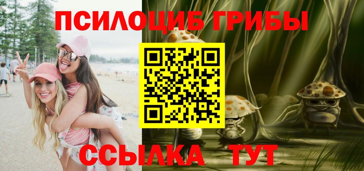 Псилоцибиновые грибы Psilocybe Лабинск