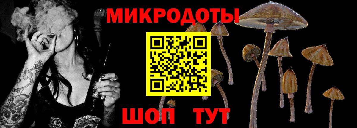 Галлюциногенные грибы Psilocybe  Вход с VPN  Лабинск 